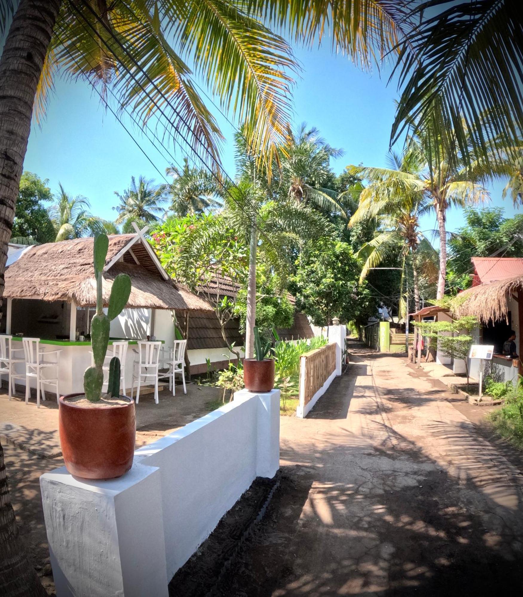 Kaktus Bungalow 1 Gili Air Eksteriør billede